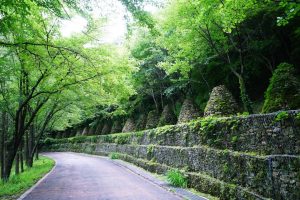 대전 가볼만한곳 베스트10 + 당일치기 코스 고민이라면?