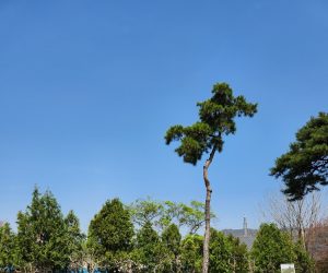 대전 놀거리 연산문화창고 – 40분 근교 논산 여행